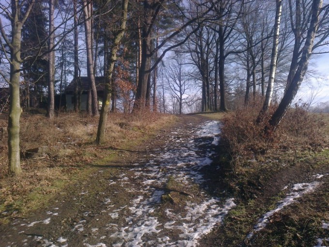 krtk stoupn ped odboenm