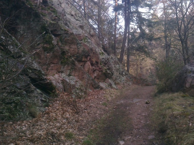 skaln tvary